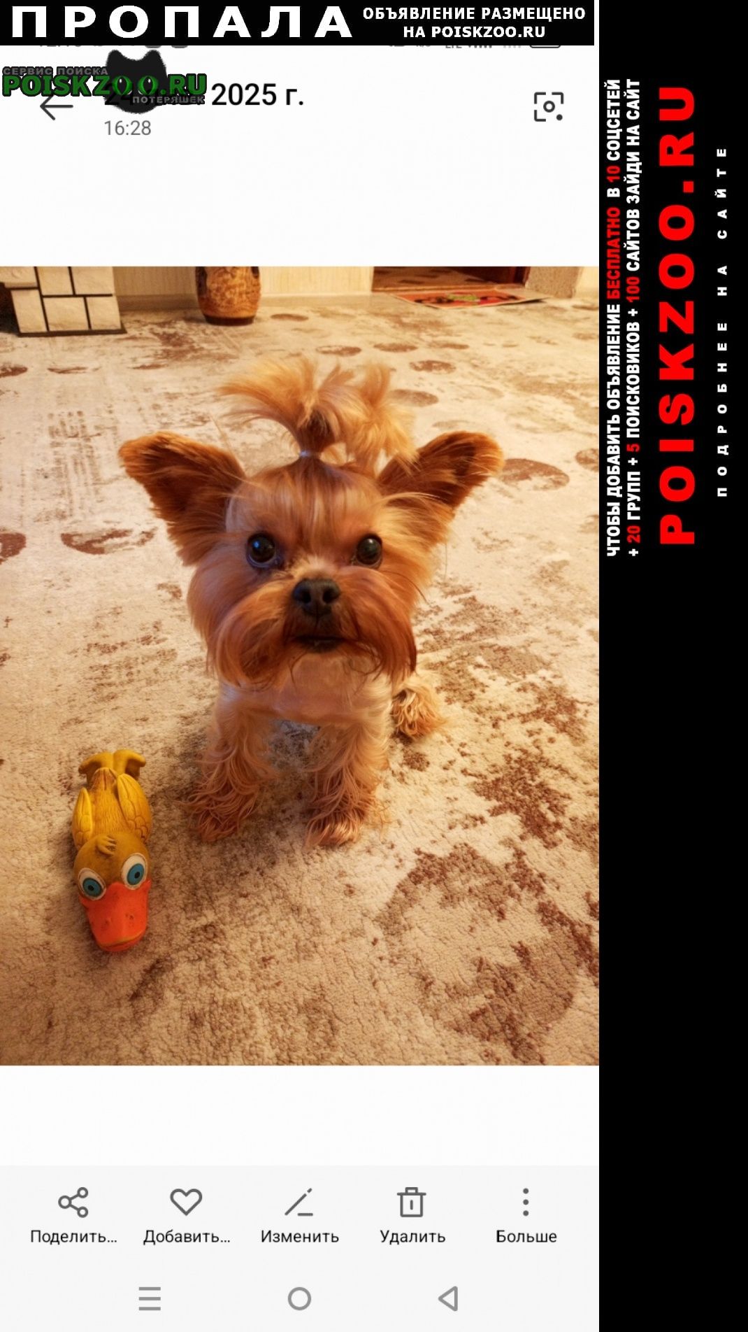 ���� �������� �����