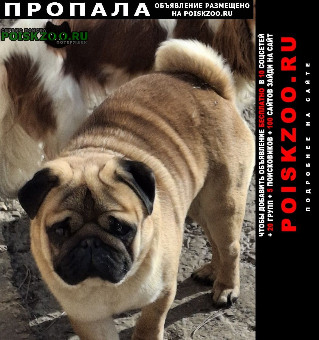 ���� ������� ������ ������ ������. 10 �����