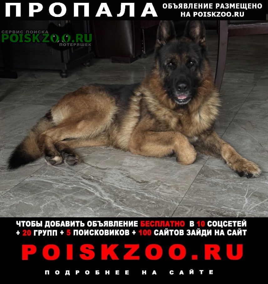 ���� ������� ������ ������ �������� ������� ����������