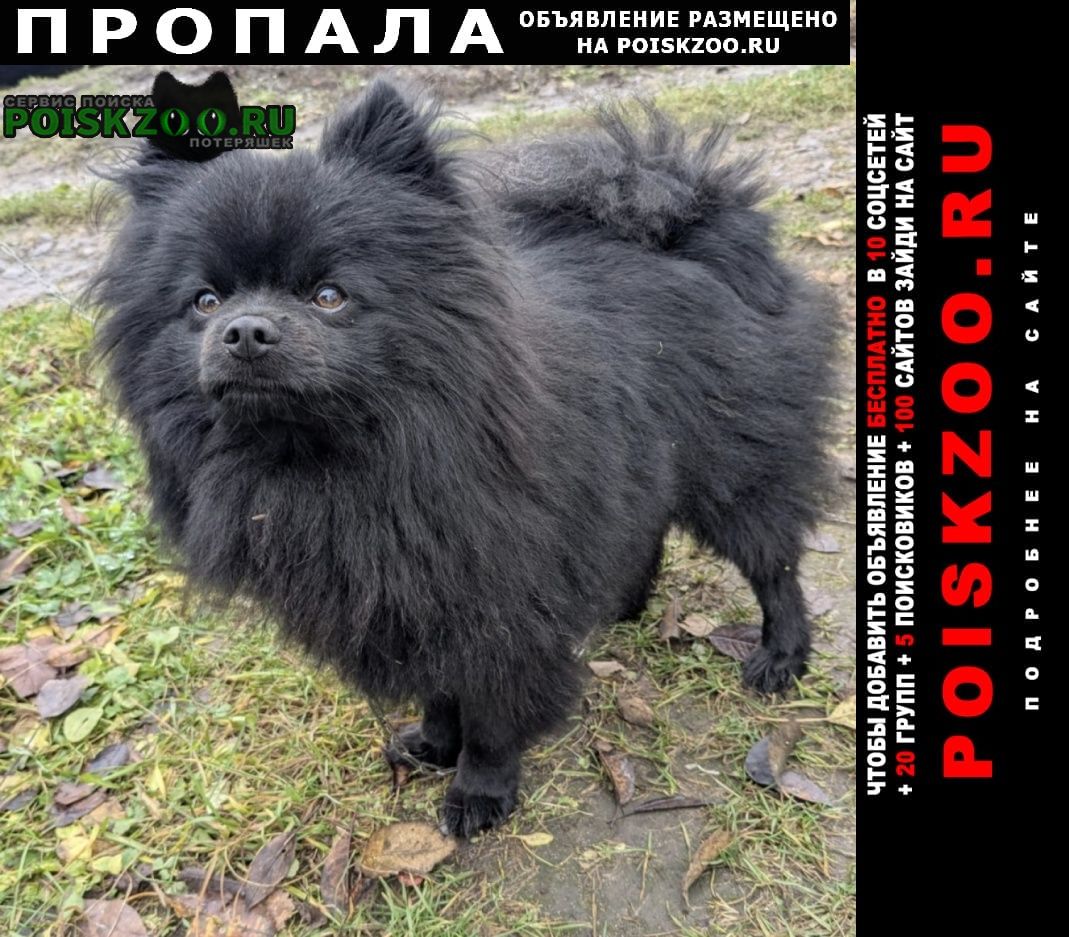 ���� ������� ������ ������ ������ ����