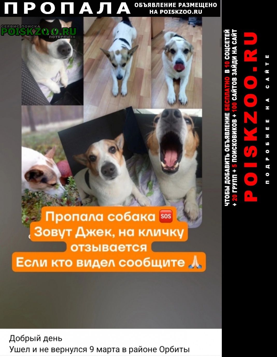 ���� ������� ������ ������