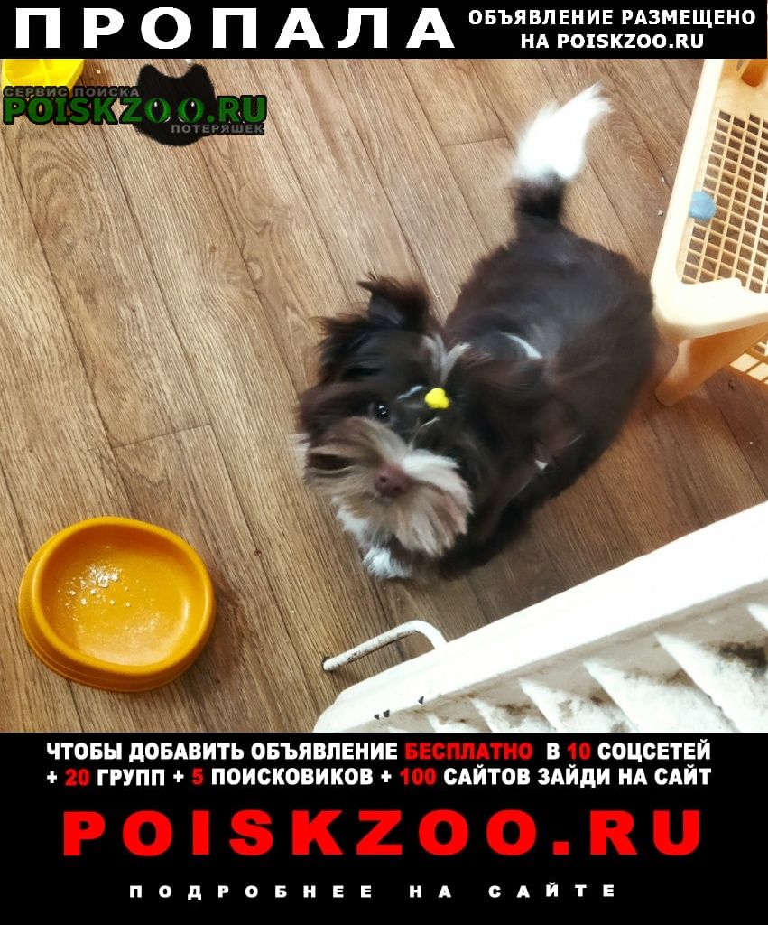 ���� ������� ������ ������