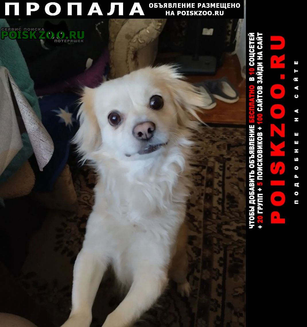 ���� �������� �����