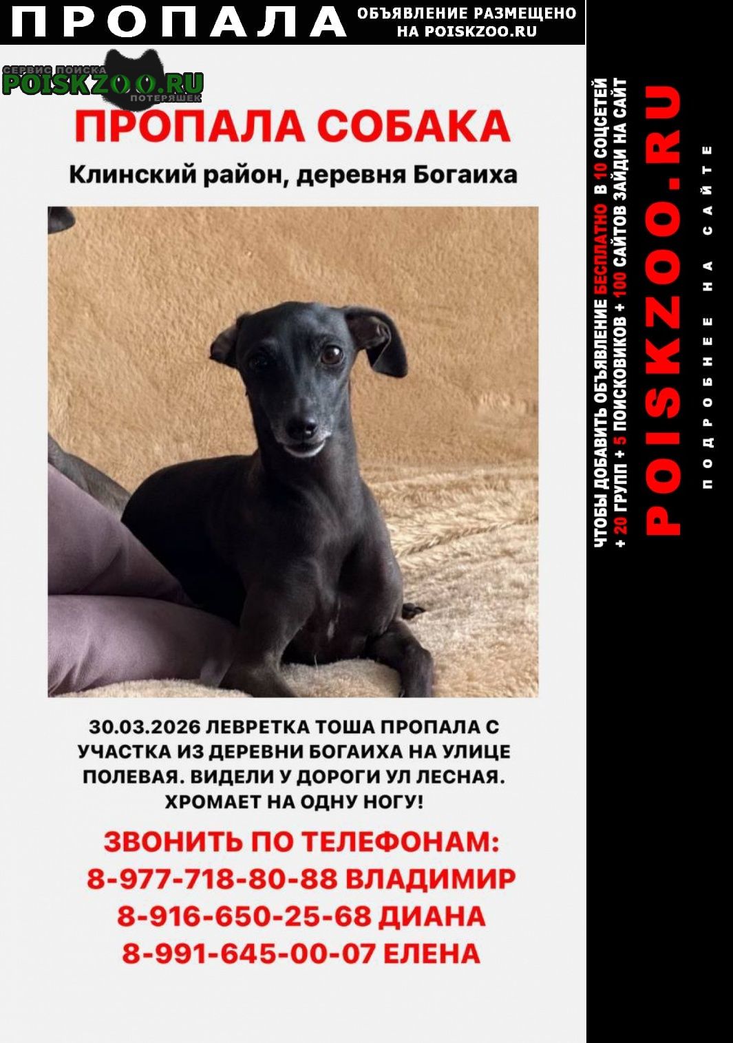 ���� ������� ������