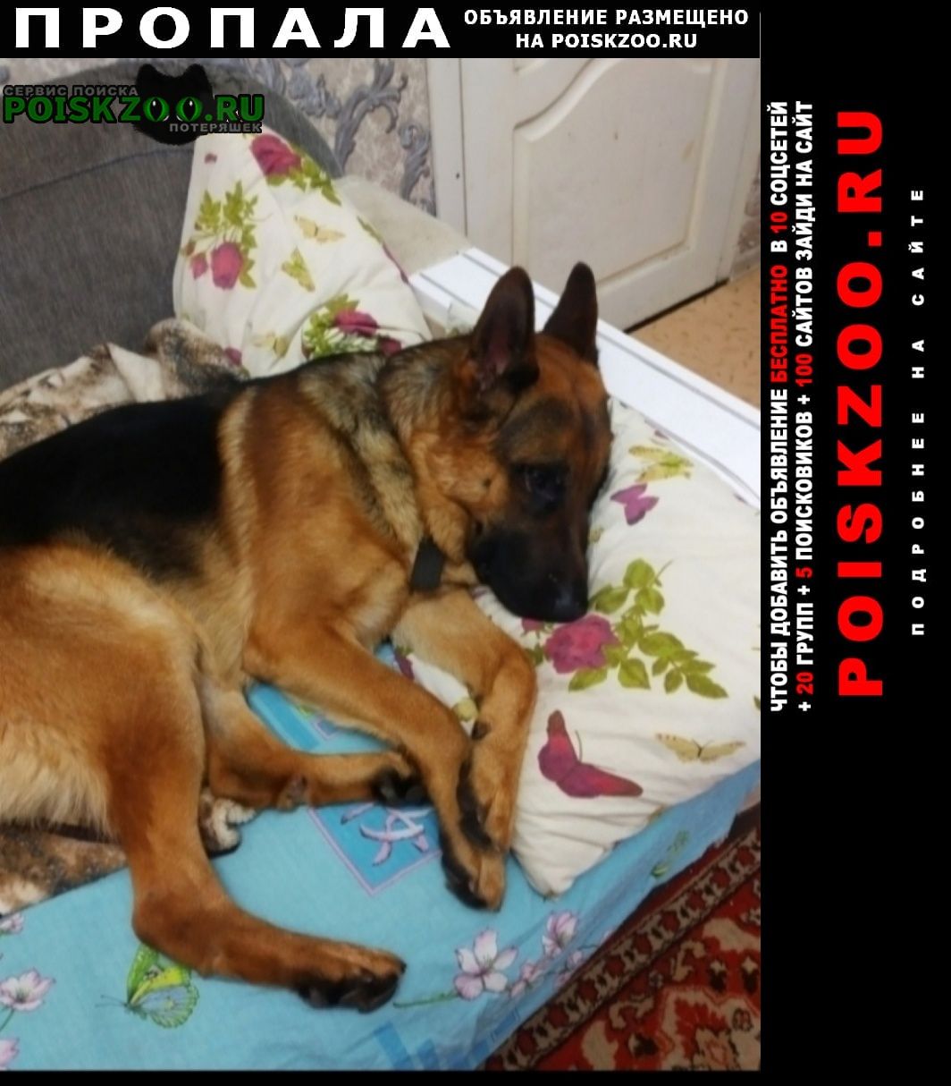 ���� ������� ������ ������