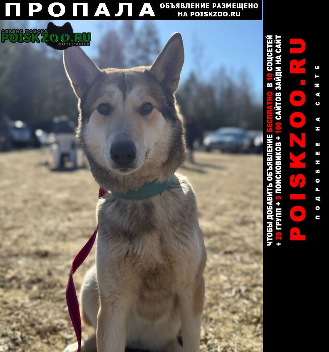 ���� ������� ������ �������� ����� ������