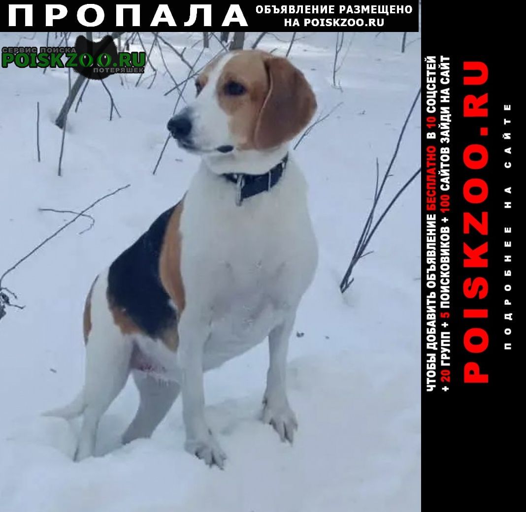 ���� ������� ������