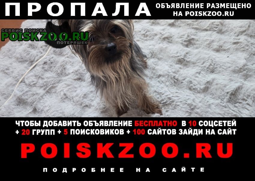 ���� ������� ������ ������