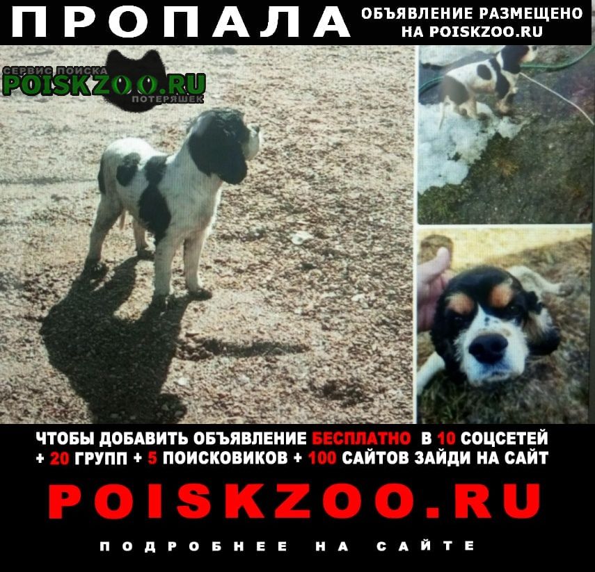 ���� ������� ������ ������������ ����� ��������, �������, ��