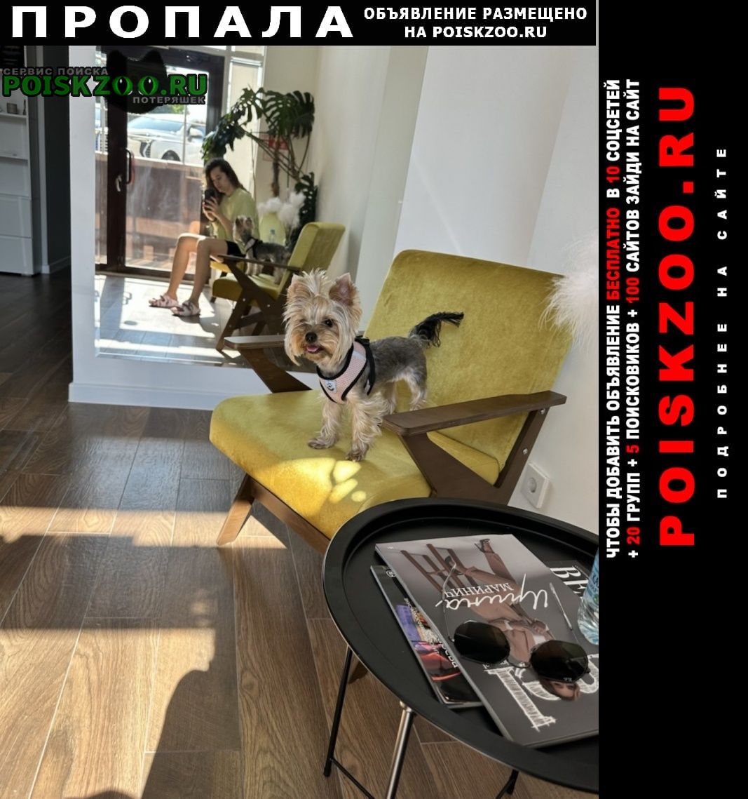 ���� ������� ������ ����������� ������