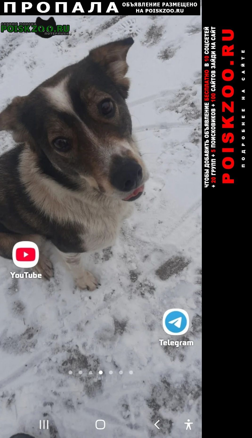 ���� ������� ������