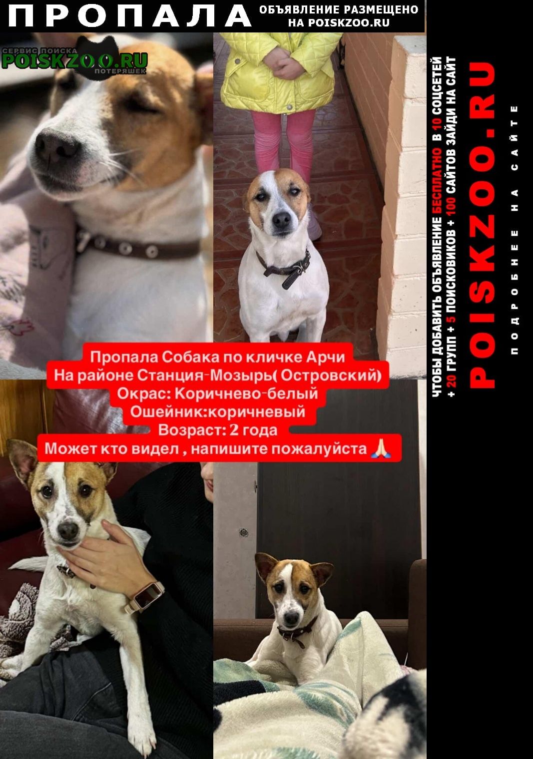 ���� ������� ������ ������