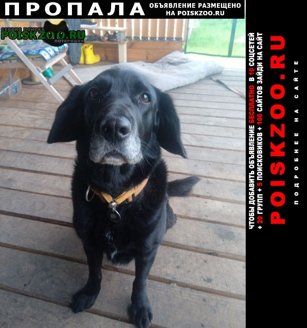 ���� �������� �����