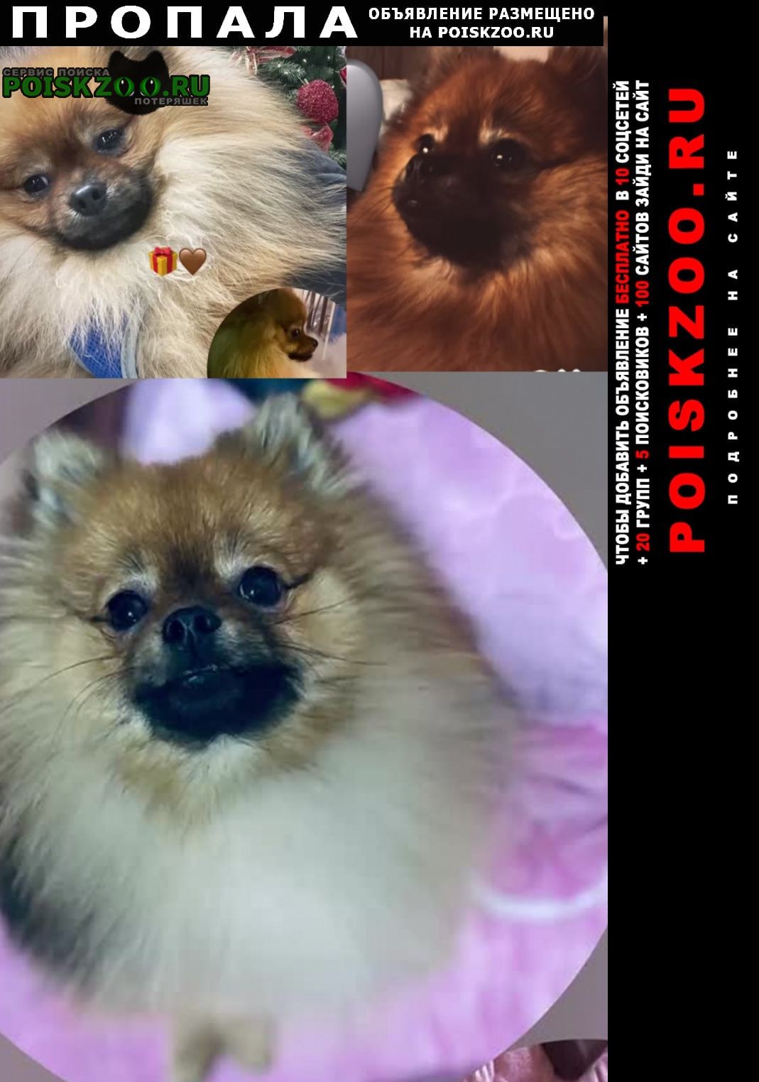 ���� ������� ������ ������