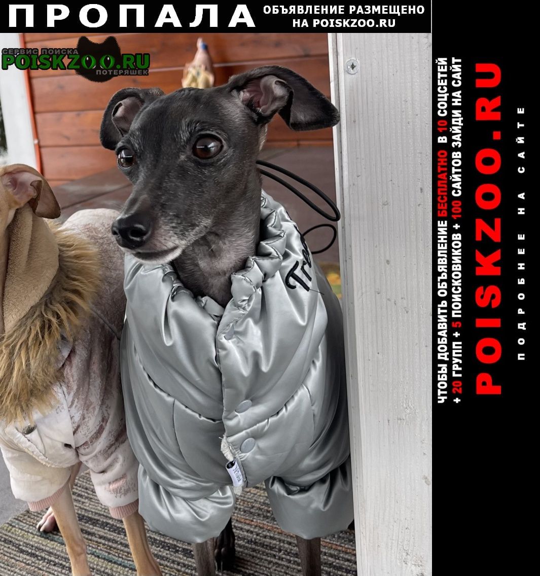 ���� ������� ������