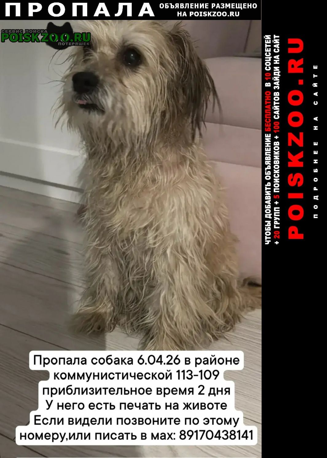 ���� ������� ������ ������