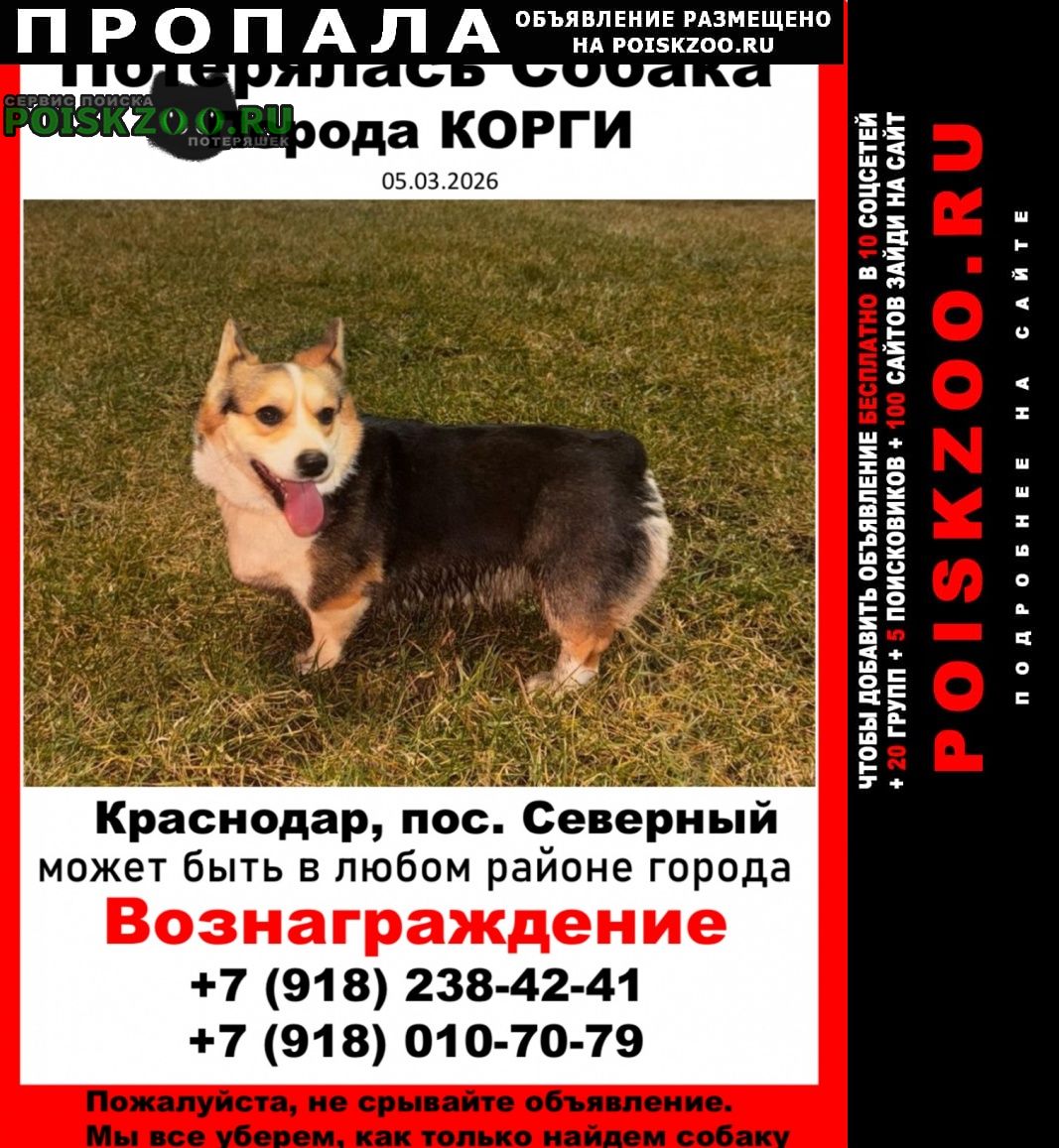 ���� ������� ������ ���� ������� �����