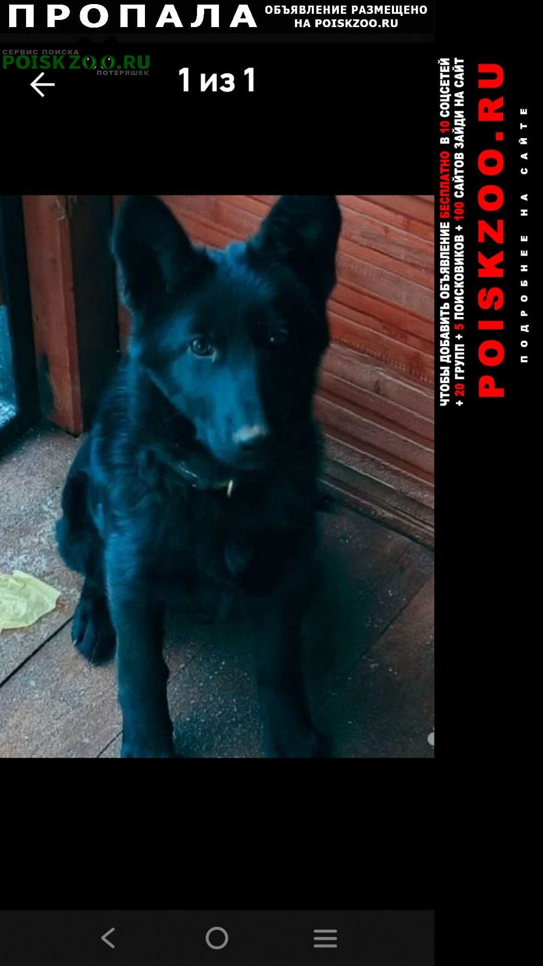 ���� ������� ������