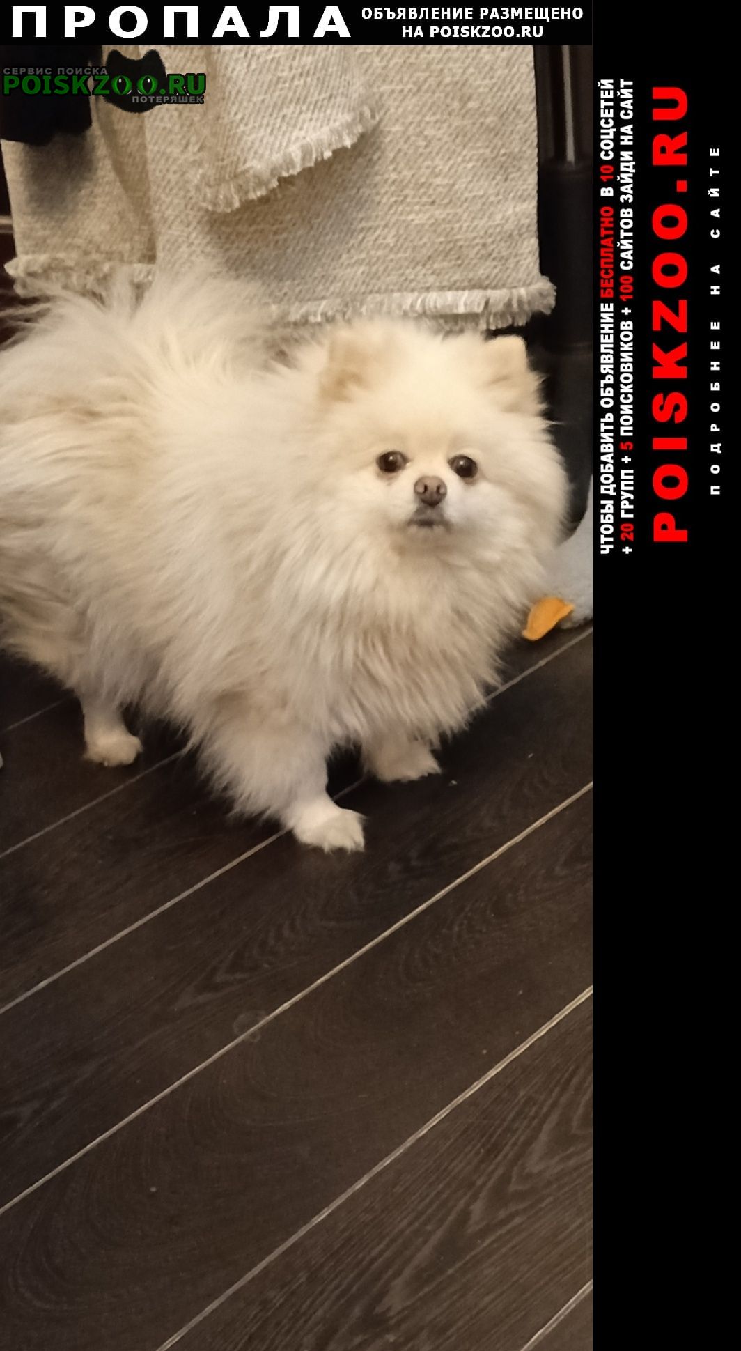 ���� ������� ������ ������� �� ��������������.