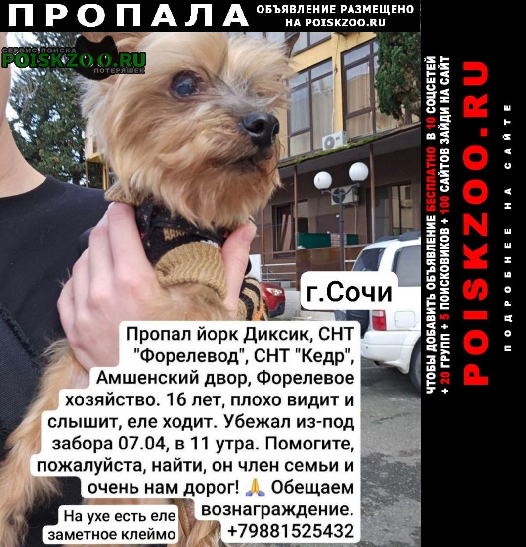 ���� ������� ������ ������ ����