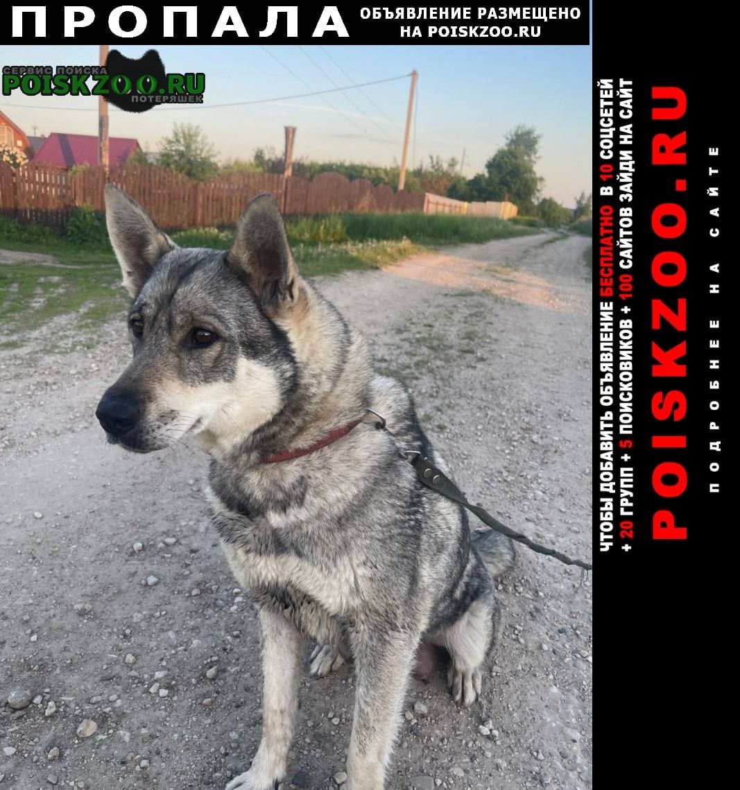 ���� ������� ������ ����� �����