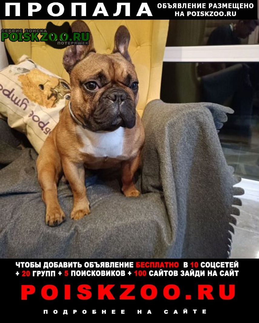 ���� ������� ������ ������ �����