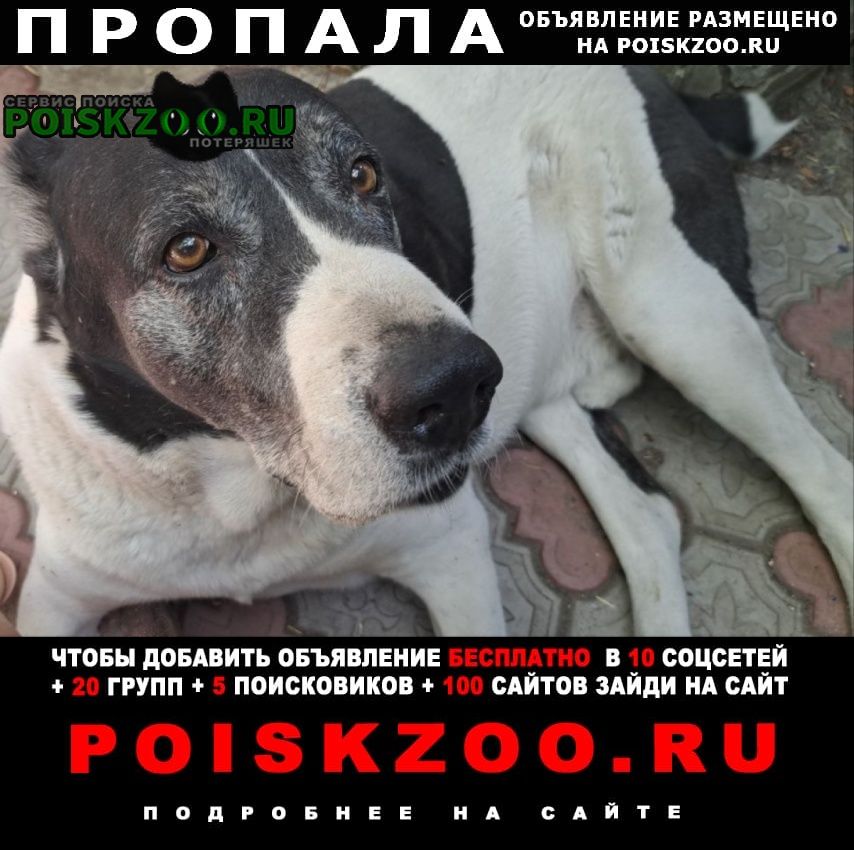 ���� ������� ������ ������ �������� ����� ������ ������