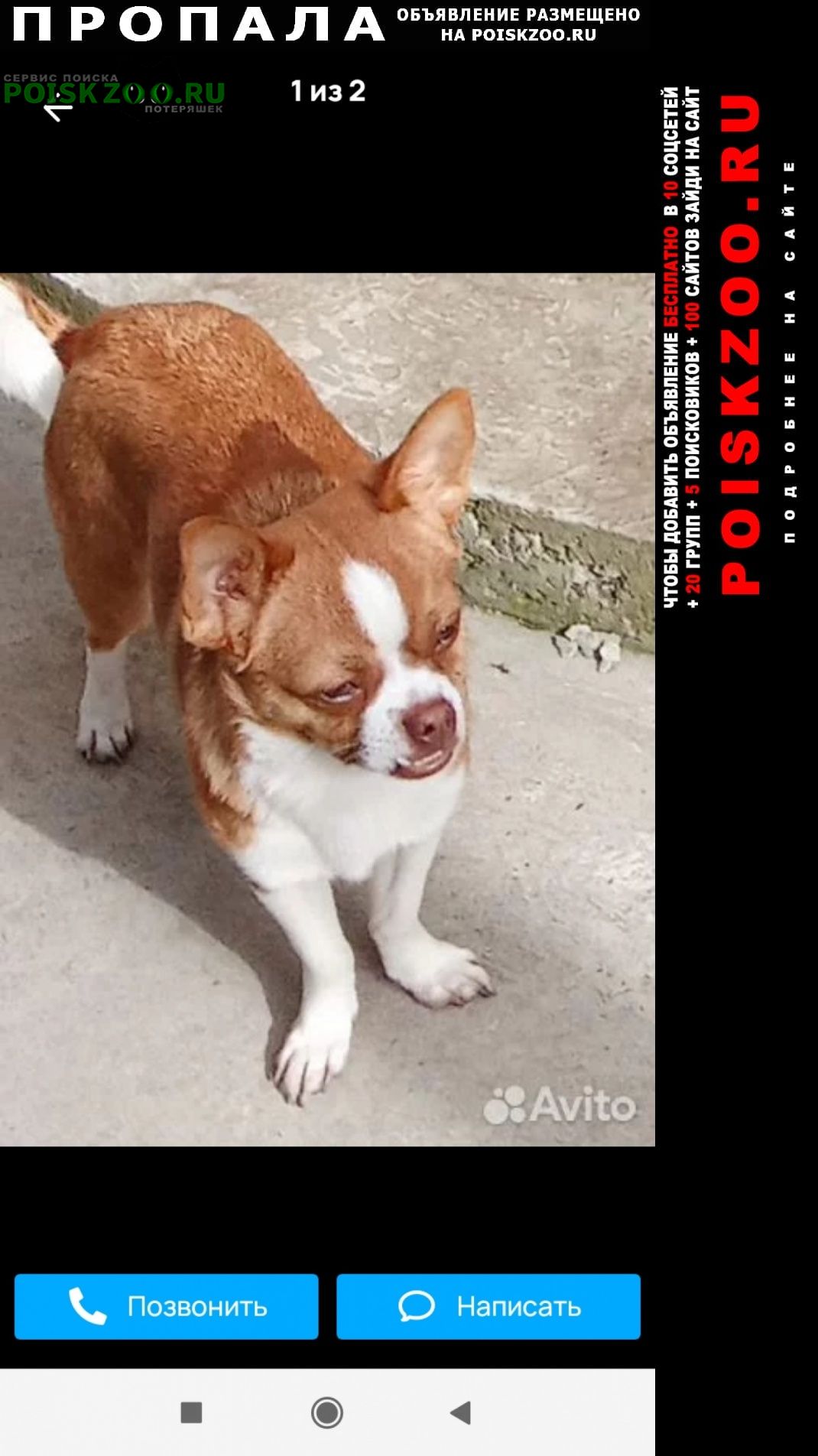 ���� ������� ������ ������