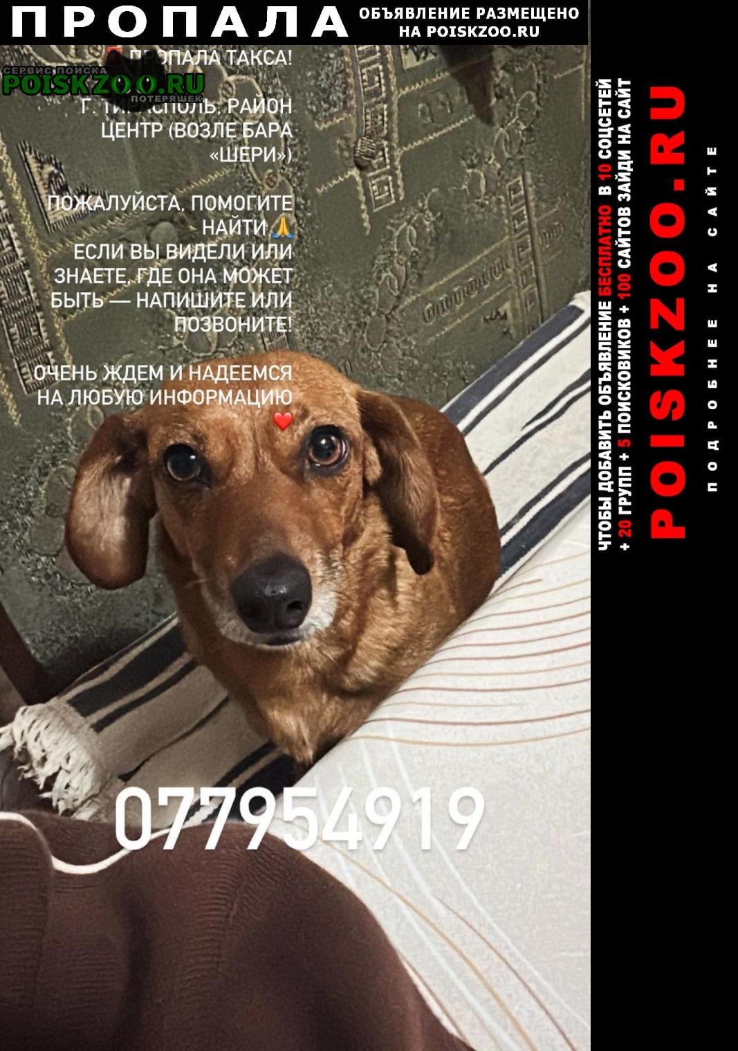 ���� ������� ������