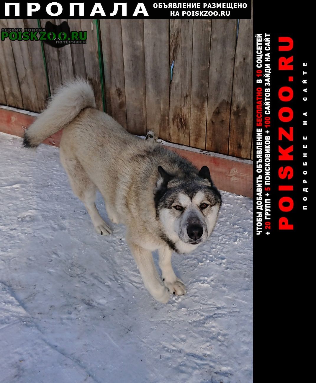 ���� ������� ������ ������ ����� � ����