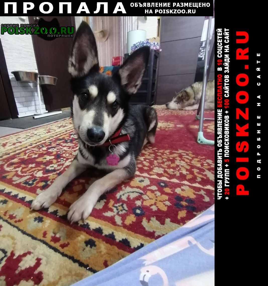 ���� ������� ������