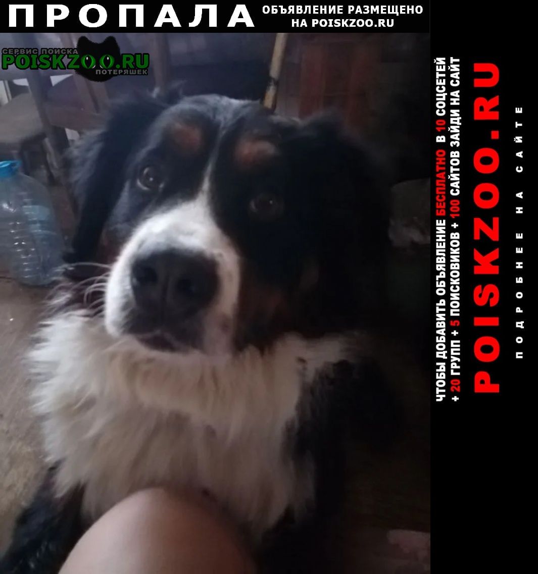 ���� ������� ������ ������