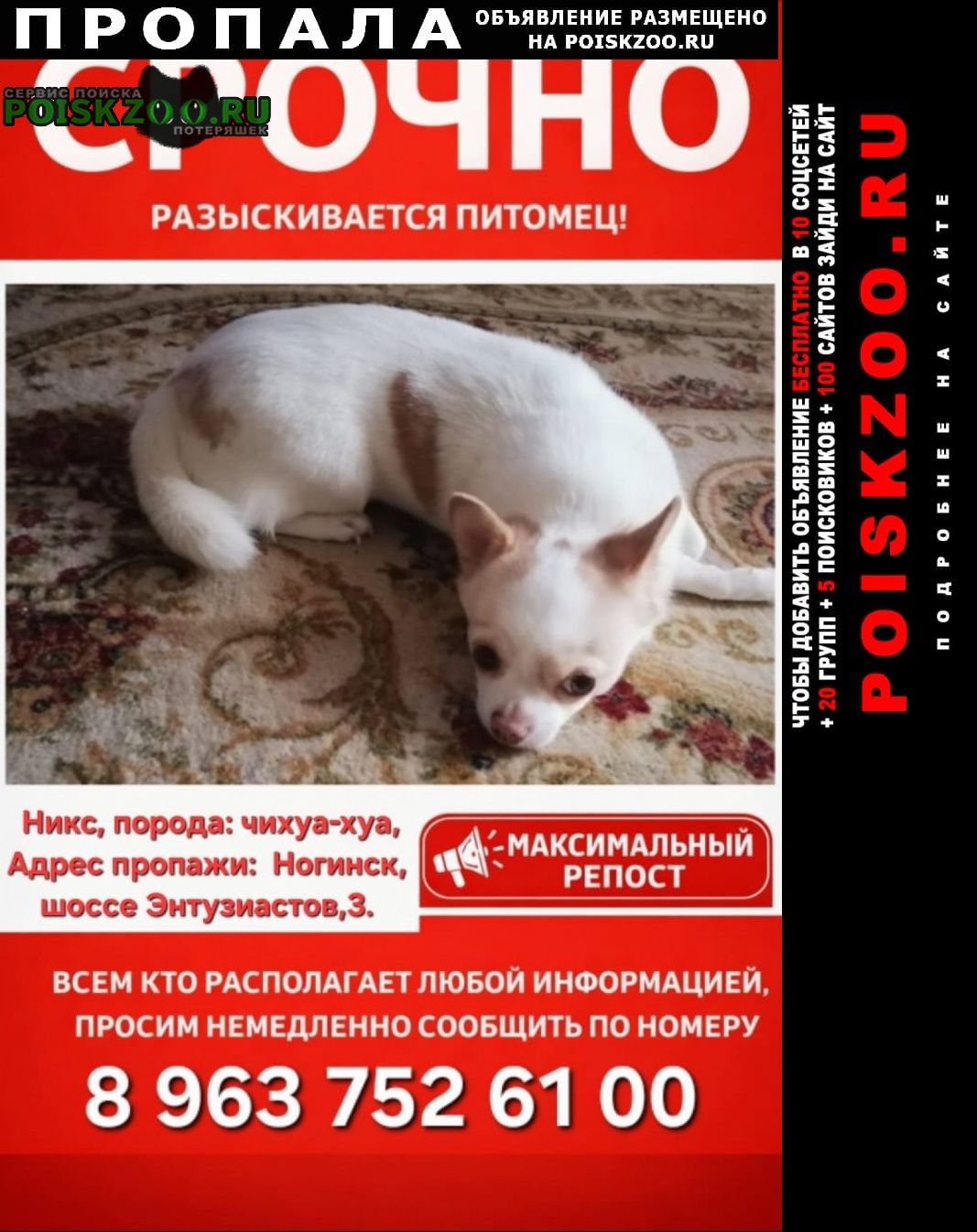 ���� ������� ������ ������