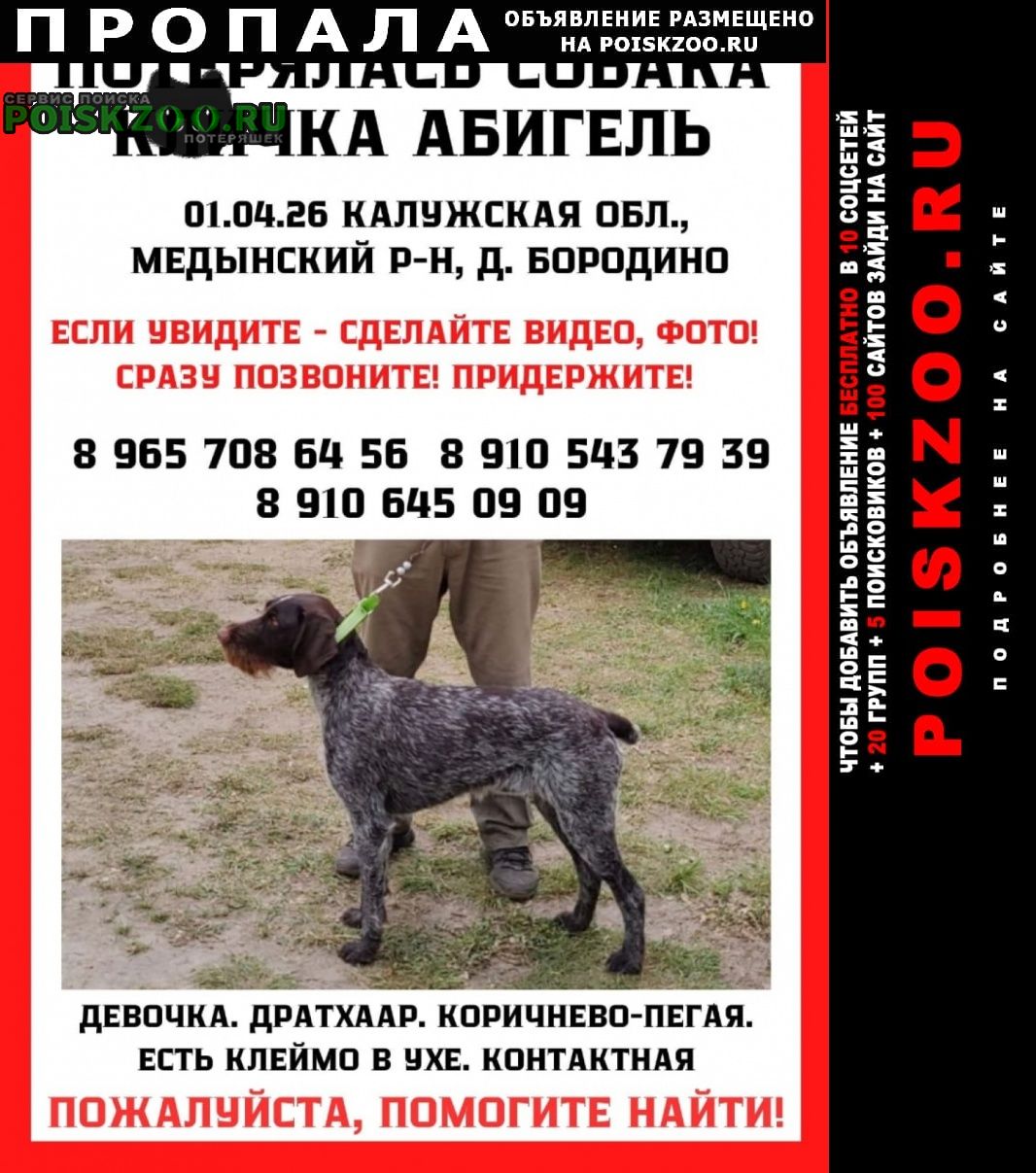 ���� ������� ������ ��������