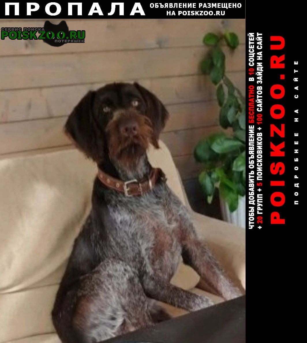 ���� ������� ������ ������ ��������