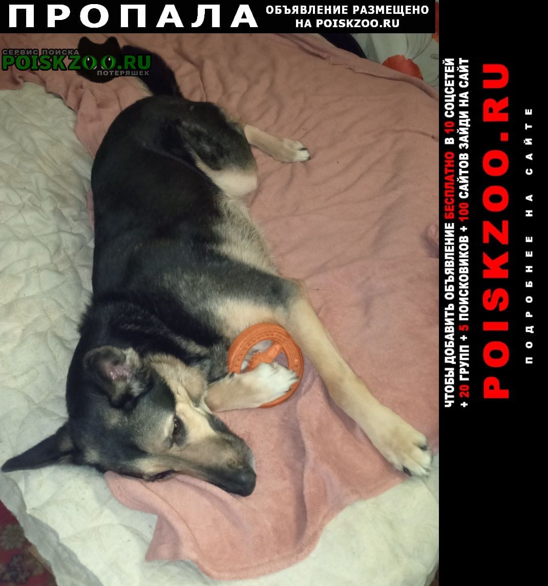 ���� ������� ������