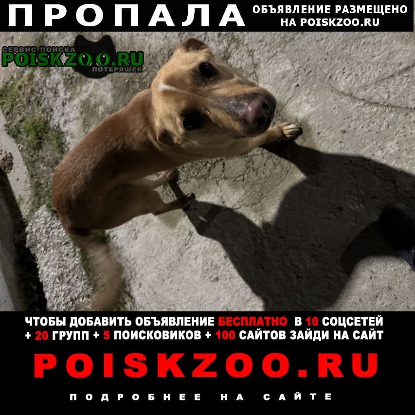 ���� �������� ����� �����