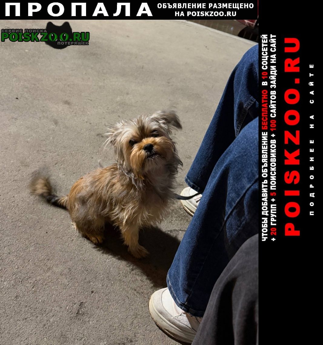 ���� ������� ������ ������