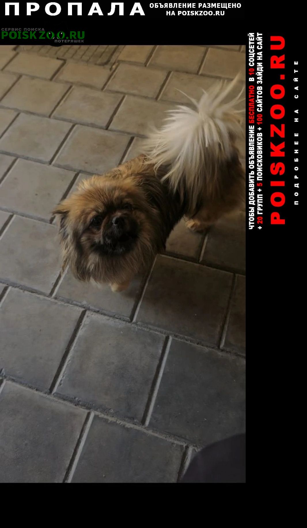 ���� ������� ������ ����� �����