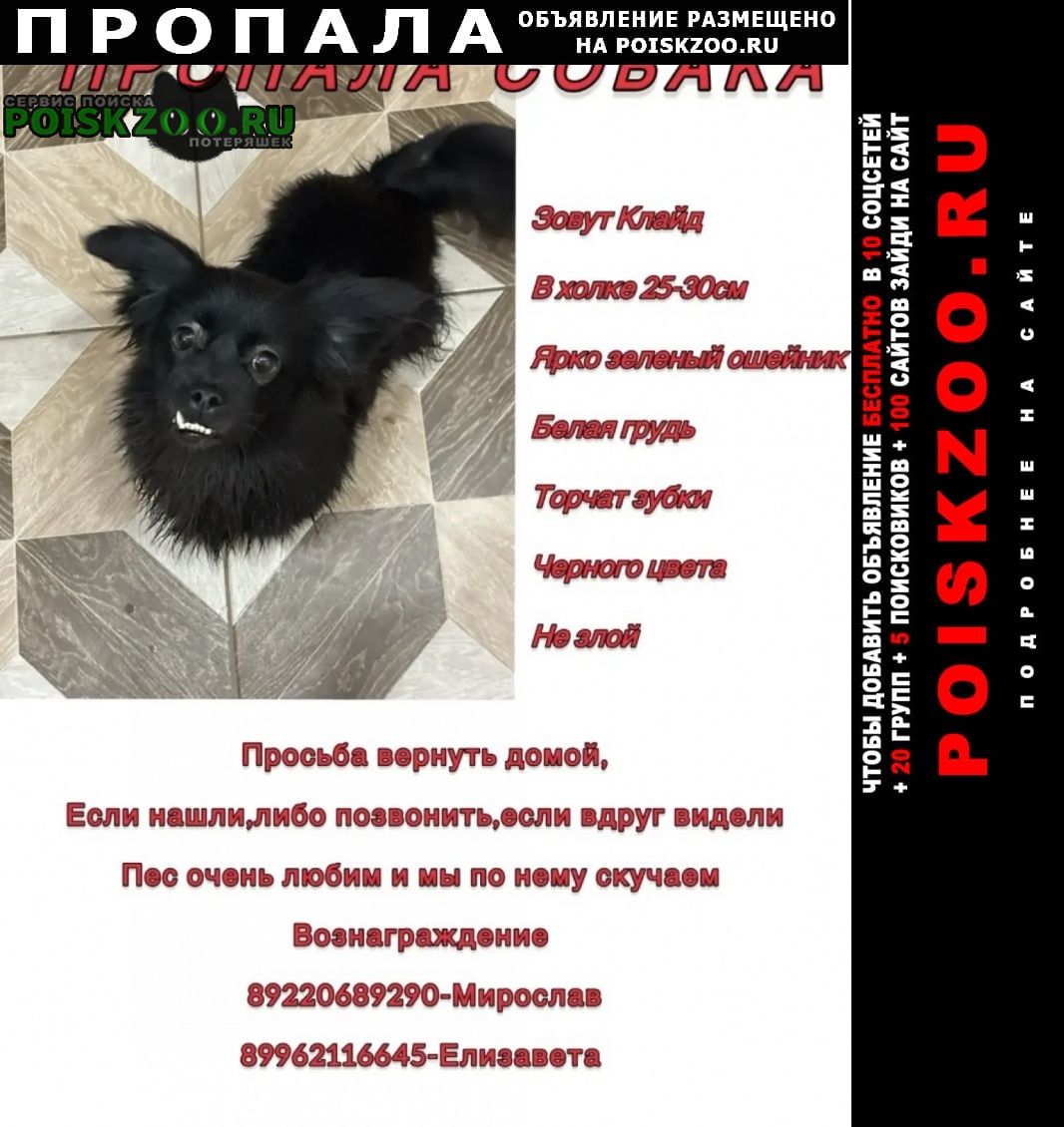 ���� ������� ������ ������ ������� � ���� �����