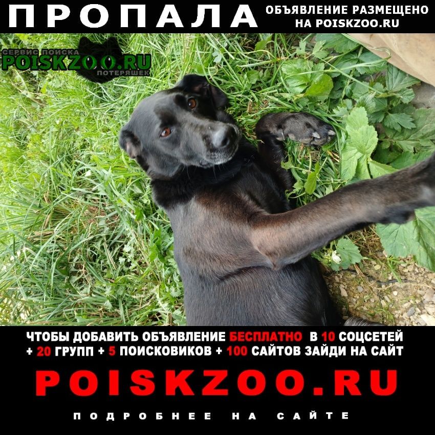 ���� ������� ������