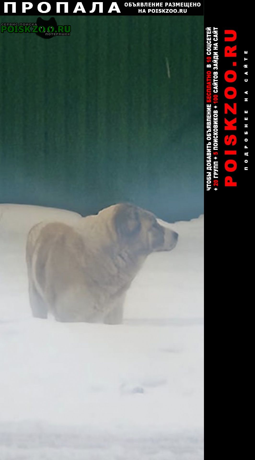 ���� ������� ������ ������