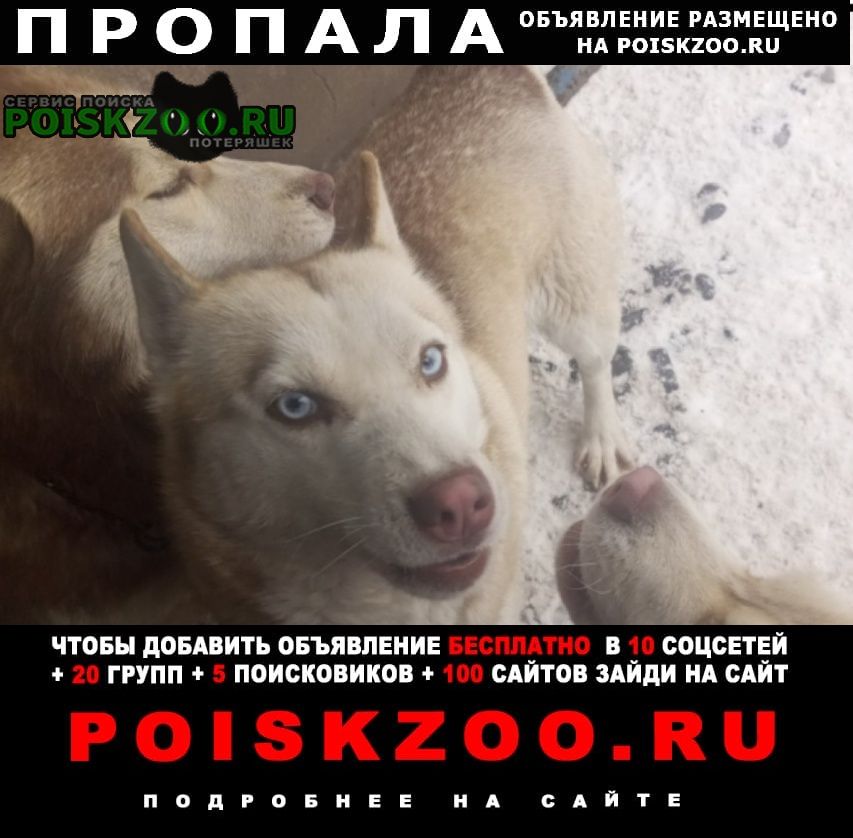 ���� ������� ������ ���� �����