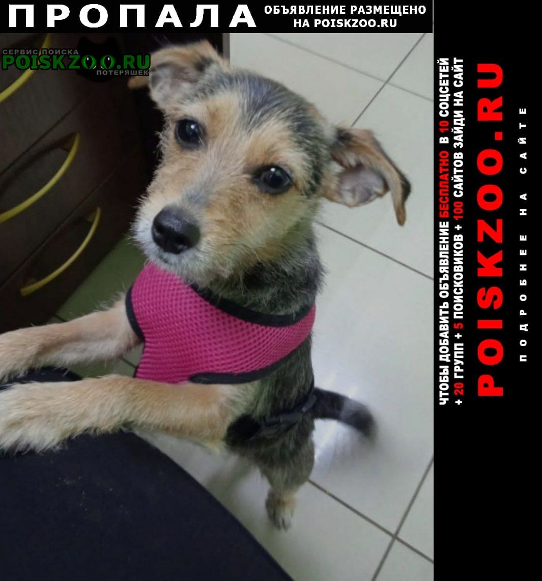 ���� ������� ������