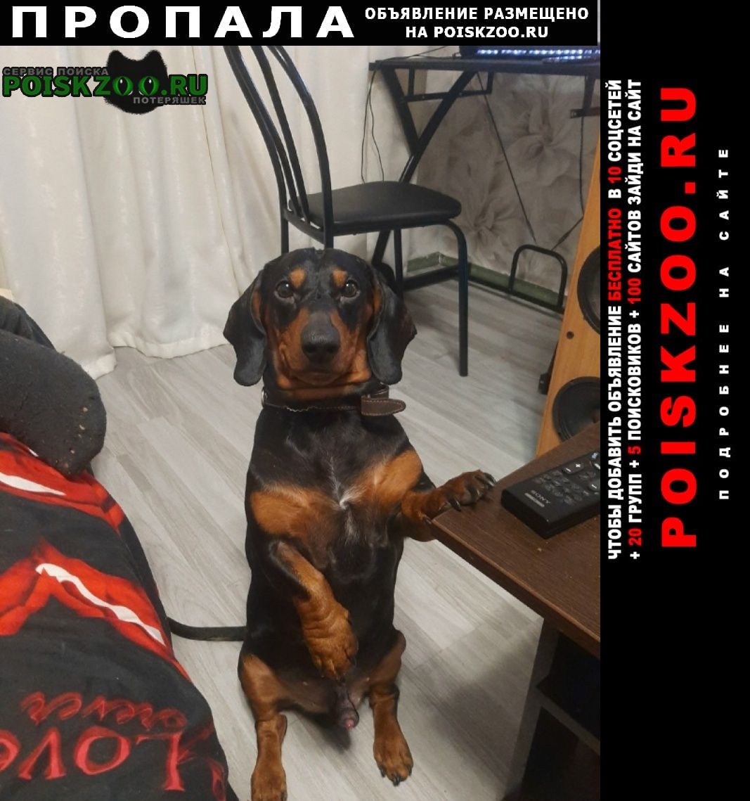 ���� ������� ������ ������ ��, �����