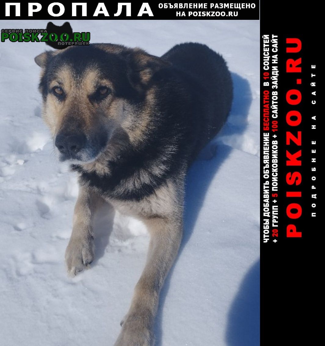 ���� ������� ������ ������