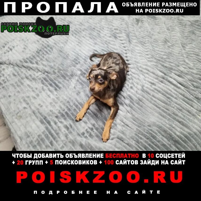 ���� ������� ������ ������, �������� �����