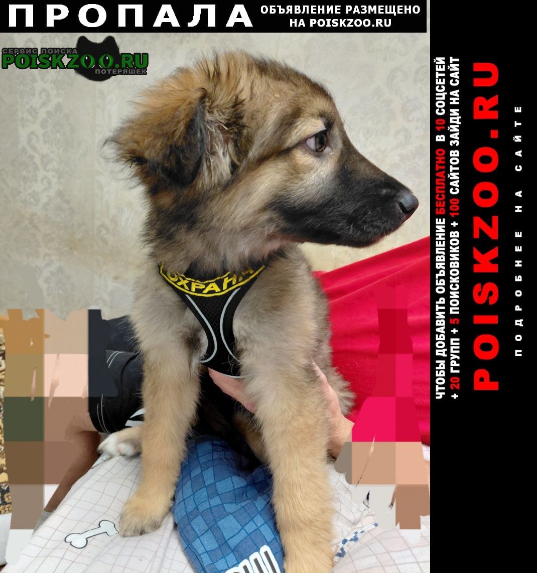 ���� ������� ������ �����, 4 ������