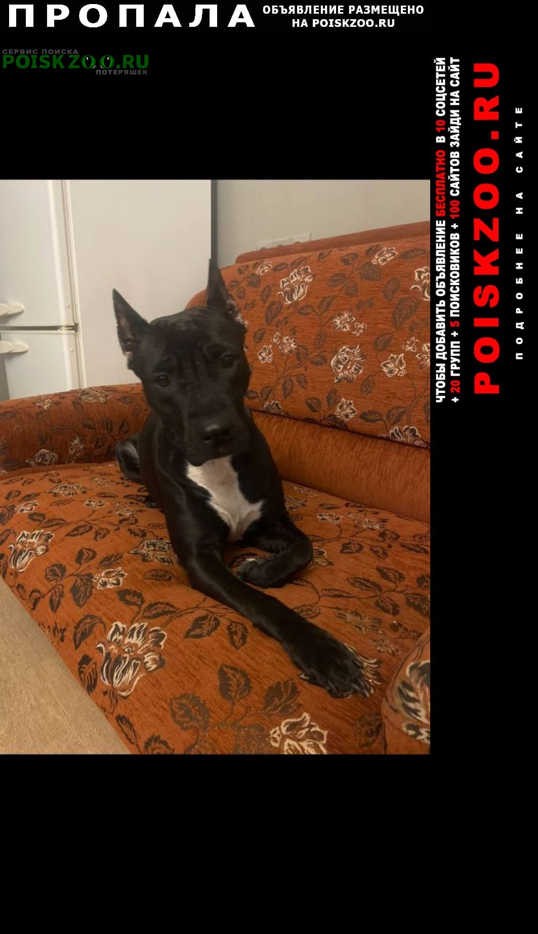 ���� ������� ������