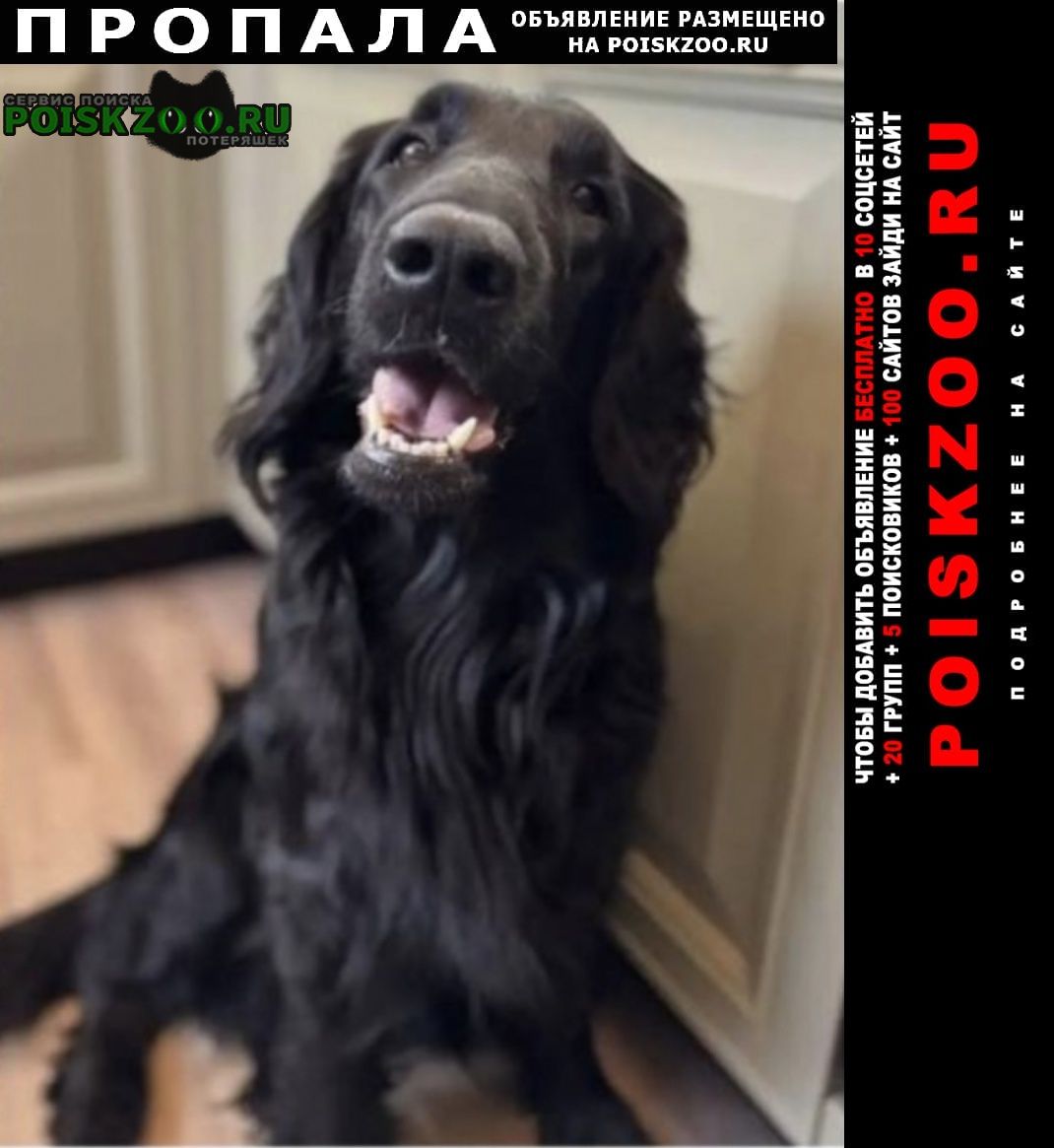 ���� ������� ������